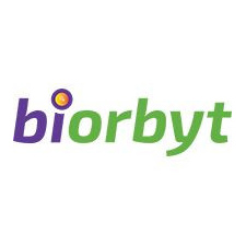 Biorbyt Antibody